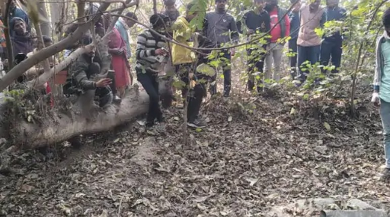 सहजनवां में सड़क हादसे के बाद ट्रक से निकला अजगर:सेक्टर-22 मोड़ पर मची अफरा-तफरी, वन विभाग ने सुरक्षित किया रेस्क्यू