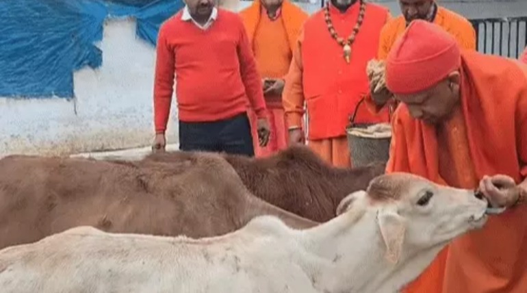 जमीन कब्जा मुक्त कराएं:गोरखपुर में 150 लोगों की समस्याएं सुनी, सीएम योगी आदित्यनाथ ने कहा- भूमाफिया बख्शे न जाएं