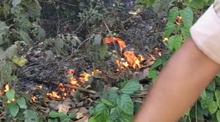 आग लगी, फायर ब्रिगेड ने पाया काबू, हवा कम होने के कारण टली बड़ी घटना