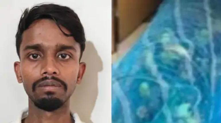 100 रोजरिंग्ड तोतों के साथ तस्कर गिरफ्तार, पटना लेकर जा रहे थे, बंगाल तक होती है तस्करी