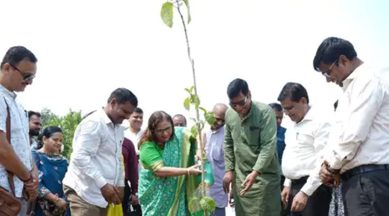 अब कॉलेजों को हरा-भरा बनाएगा NSS, पर्यावरण दिवस पर DDU से शुरू हुई अभियान, कुलपति ने लगाया कदम्ब का पौधा